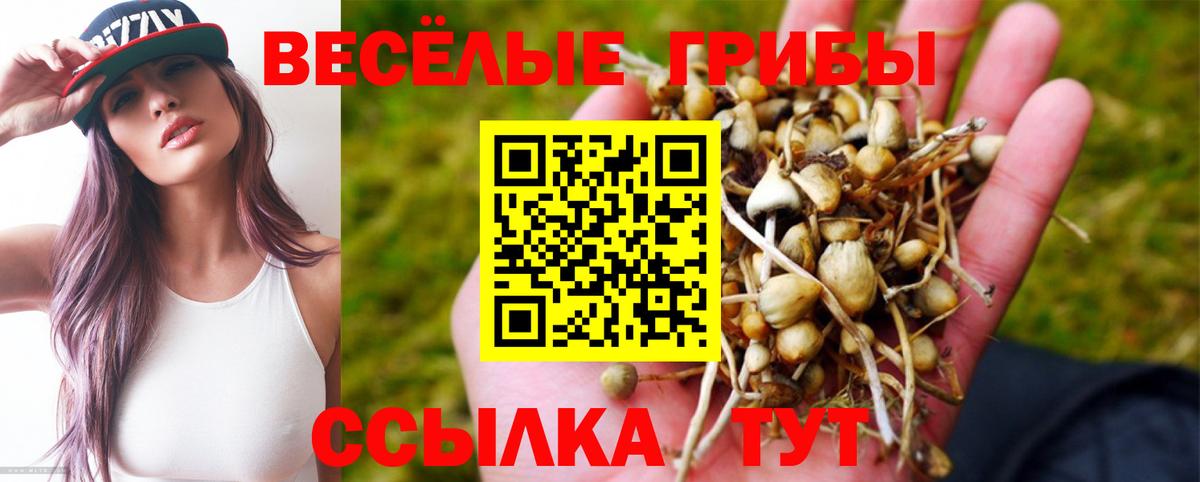 Армавир  Галлюциногенные грибы GOLDEN TEACHER  Вход с VPN 